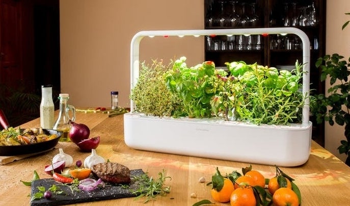 white self-watering indoor garden with leafy herbs