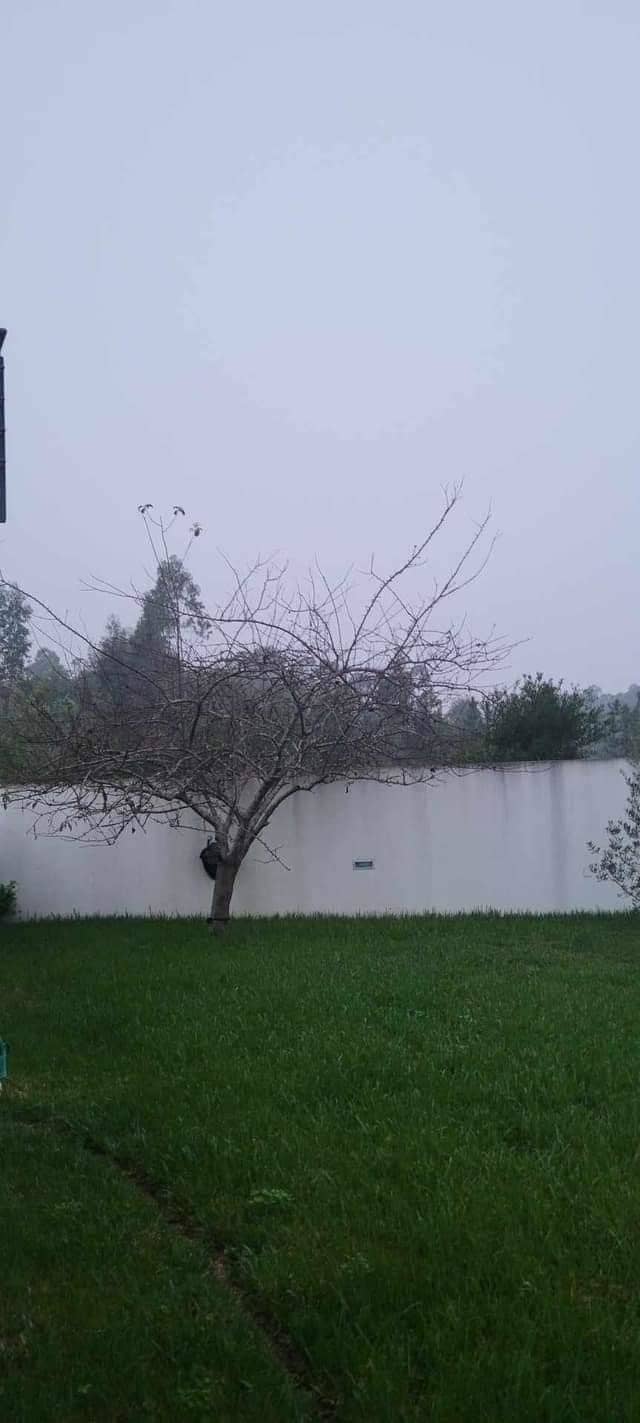 A lake that looks like a wall