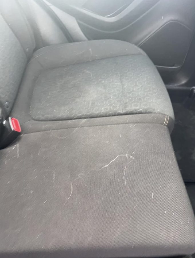 dog hair all over someone&#x27;s car seats