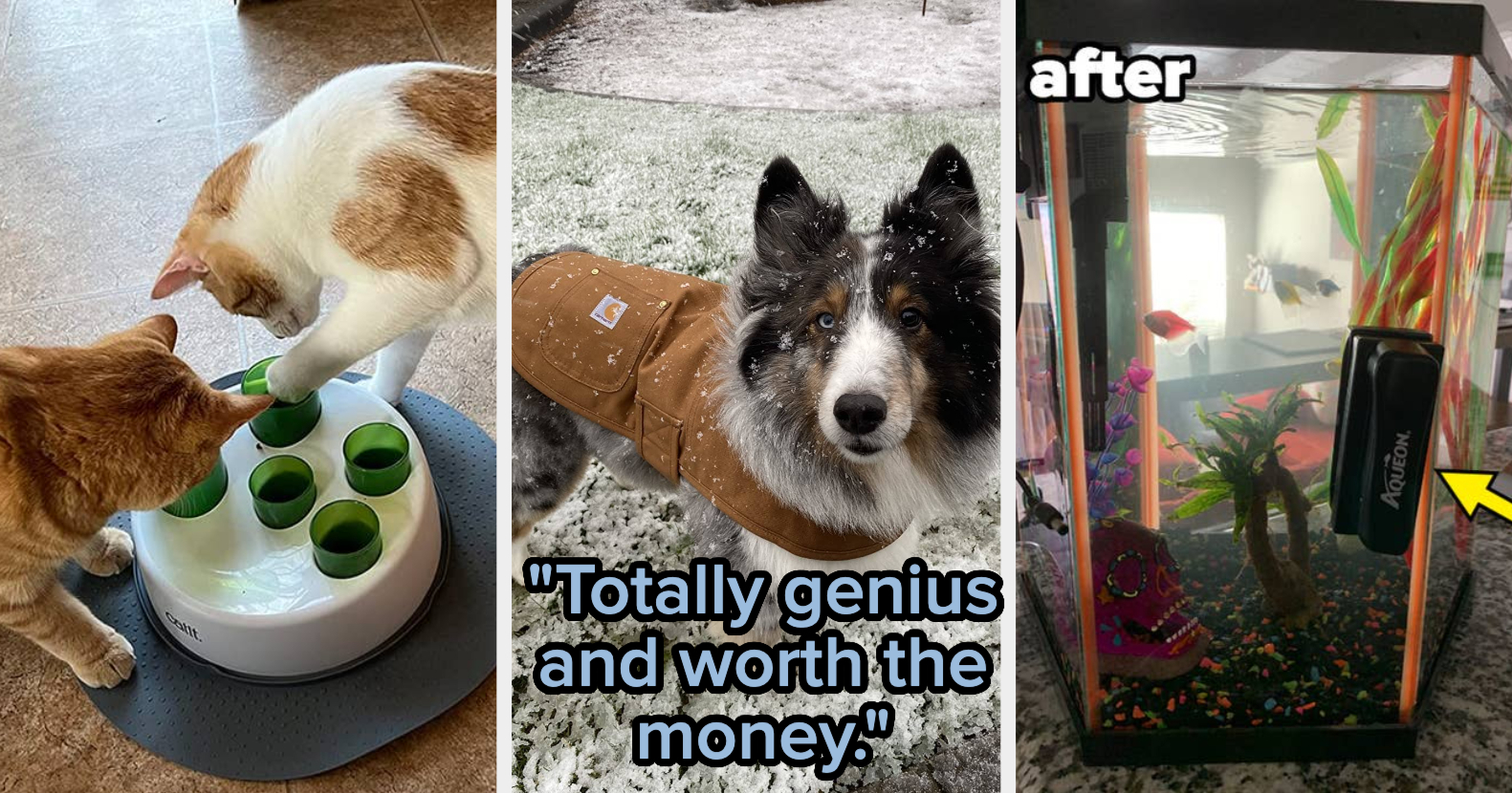 31 Pet Products Reviewers Call Genius