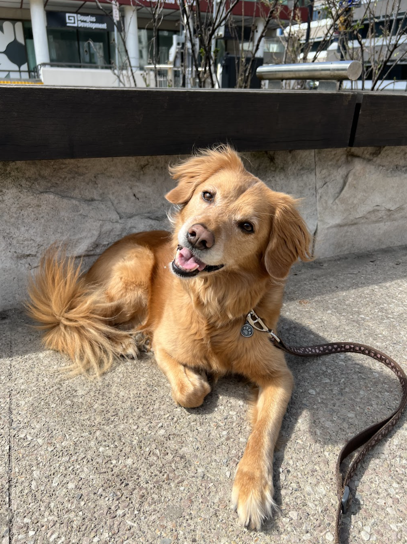 penny on the cement looking up
