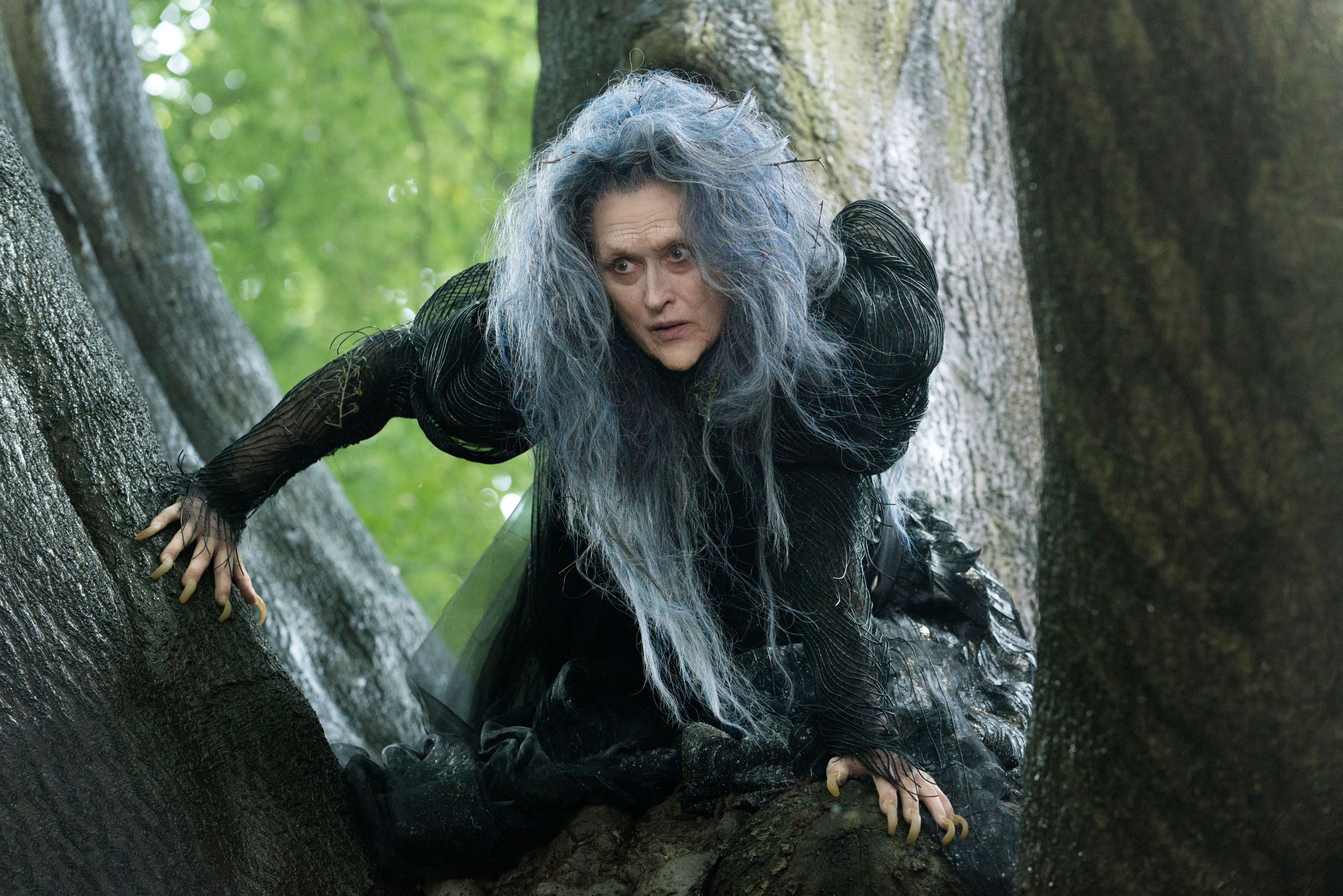 Screenshot from &quot;Into the Woods&quot;