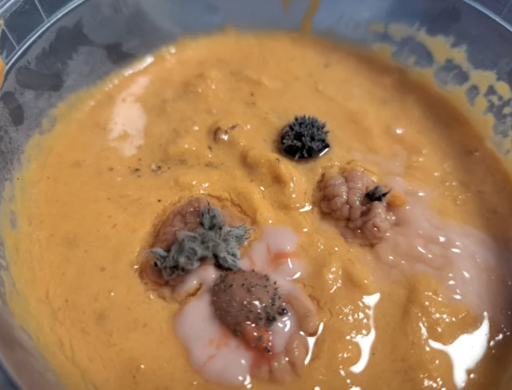 Mold in tomato soup