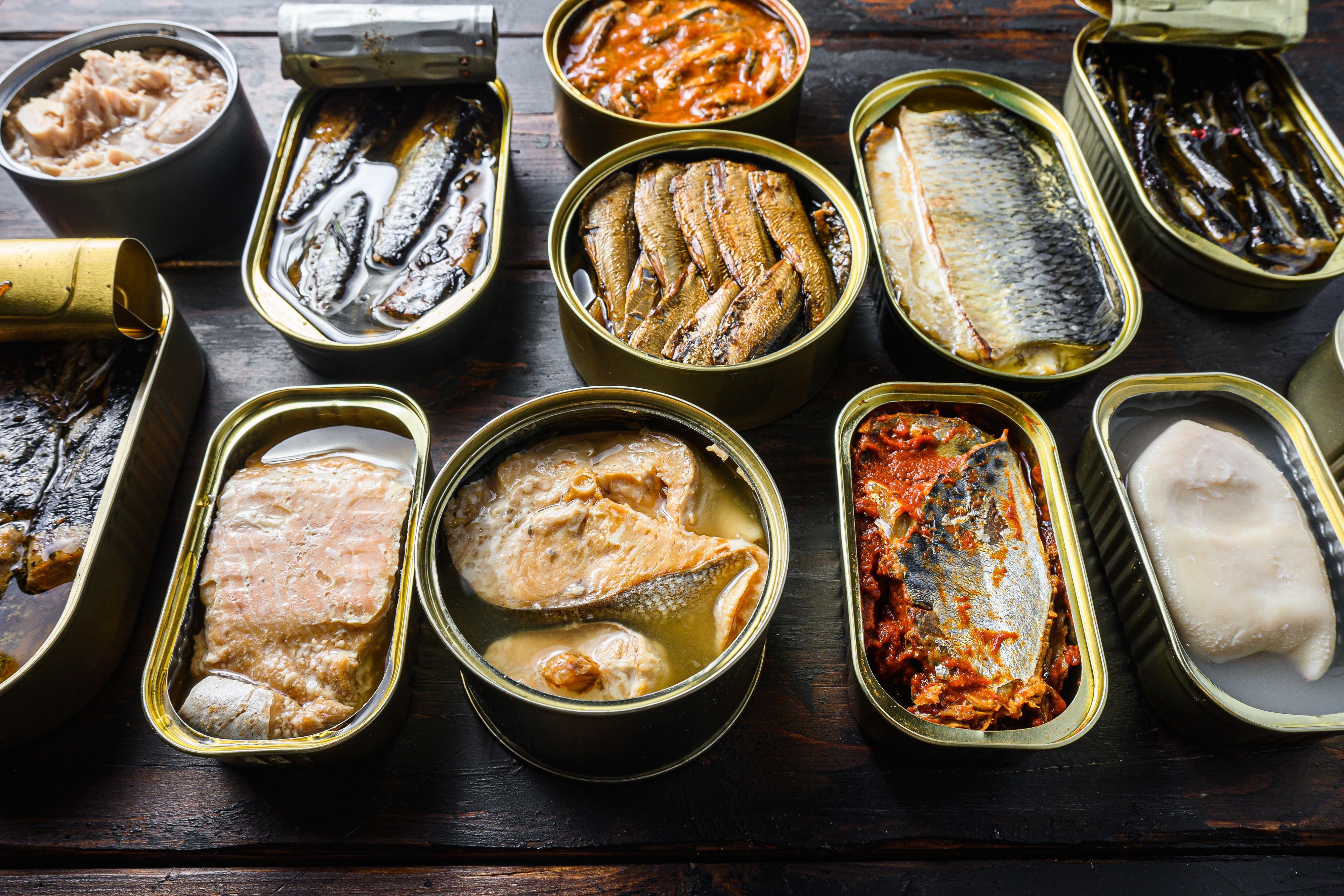 Opened preserve cans with Saury, mackerel, sprats, sardines, pilchard, squid, tuna over vintage homemade wood table close up side view