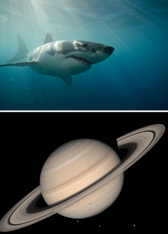a shark in water and saturn