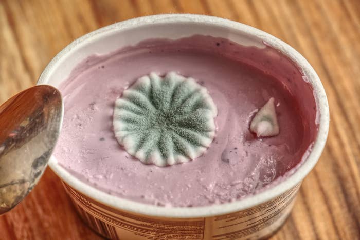 Mold in a yogurt container
