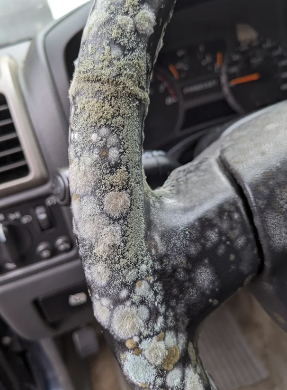 mold on a steering wheel