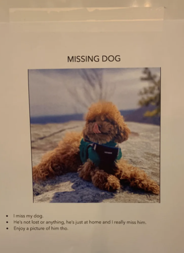 &quot;Missing Dog&quot;
