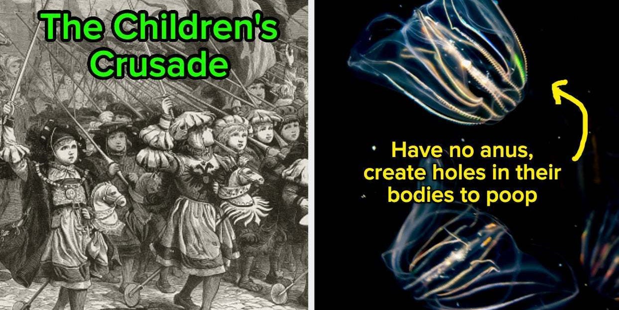 15 Wild Facts That Seem False But Are True - Vimarsana News