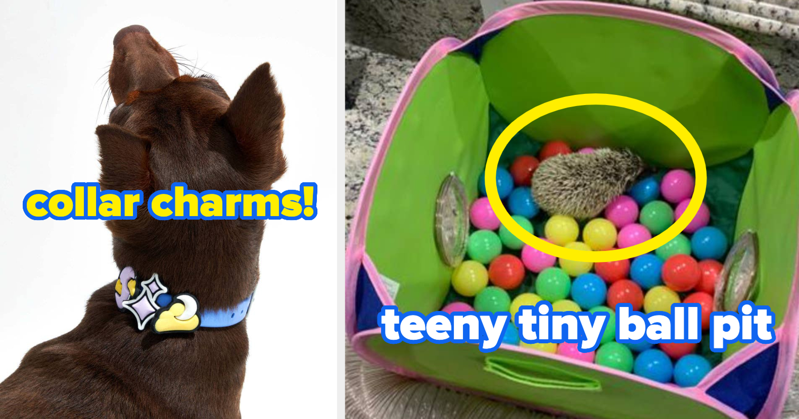 Ball pit sales for ferrets