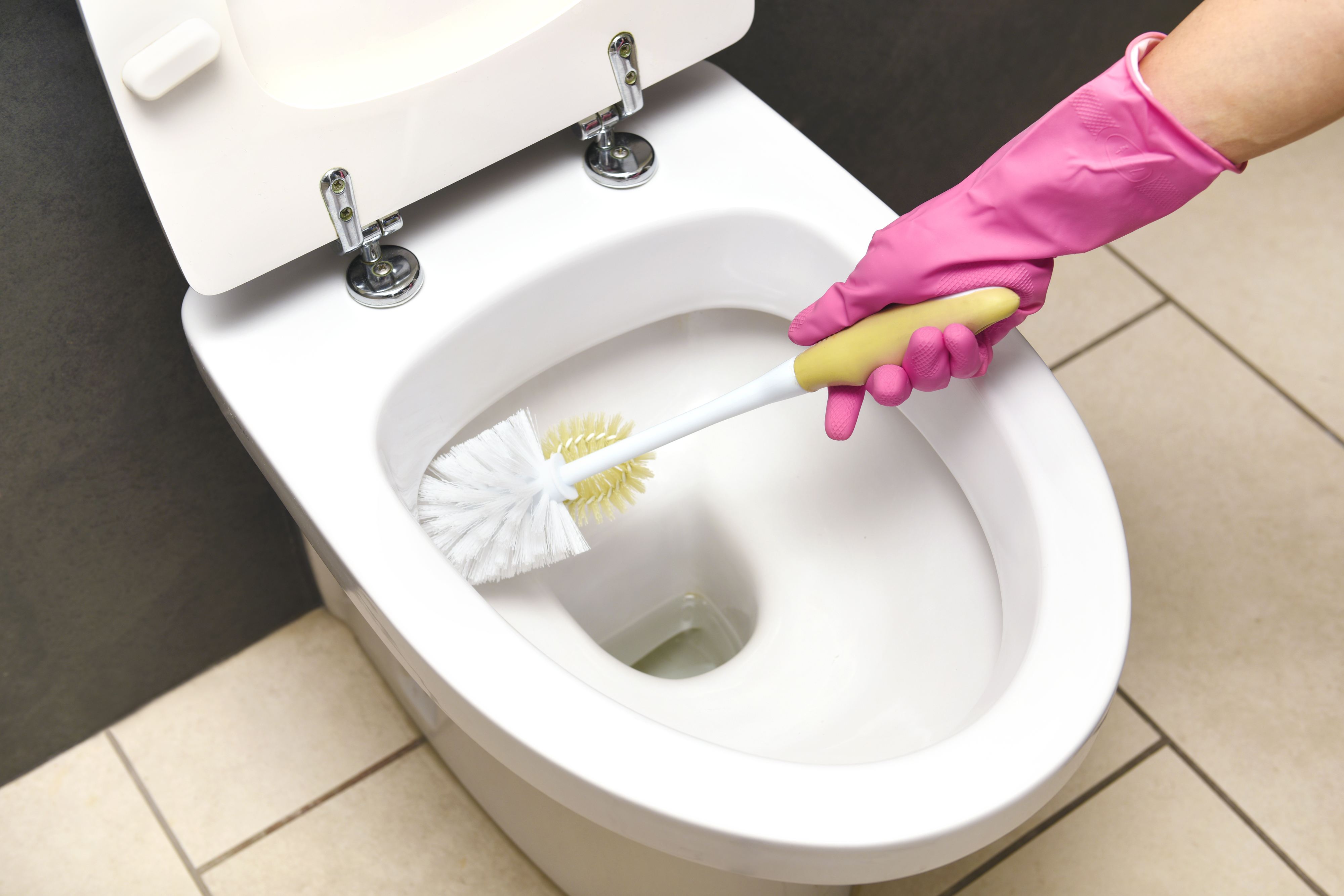 cleaning toilet bowl