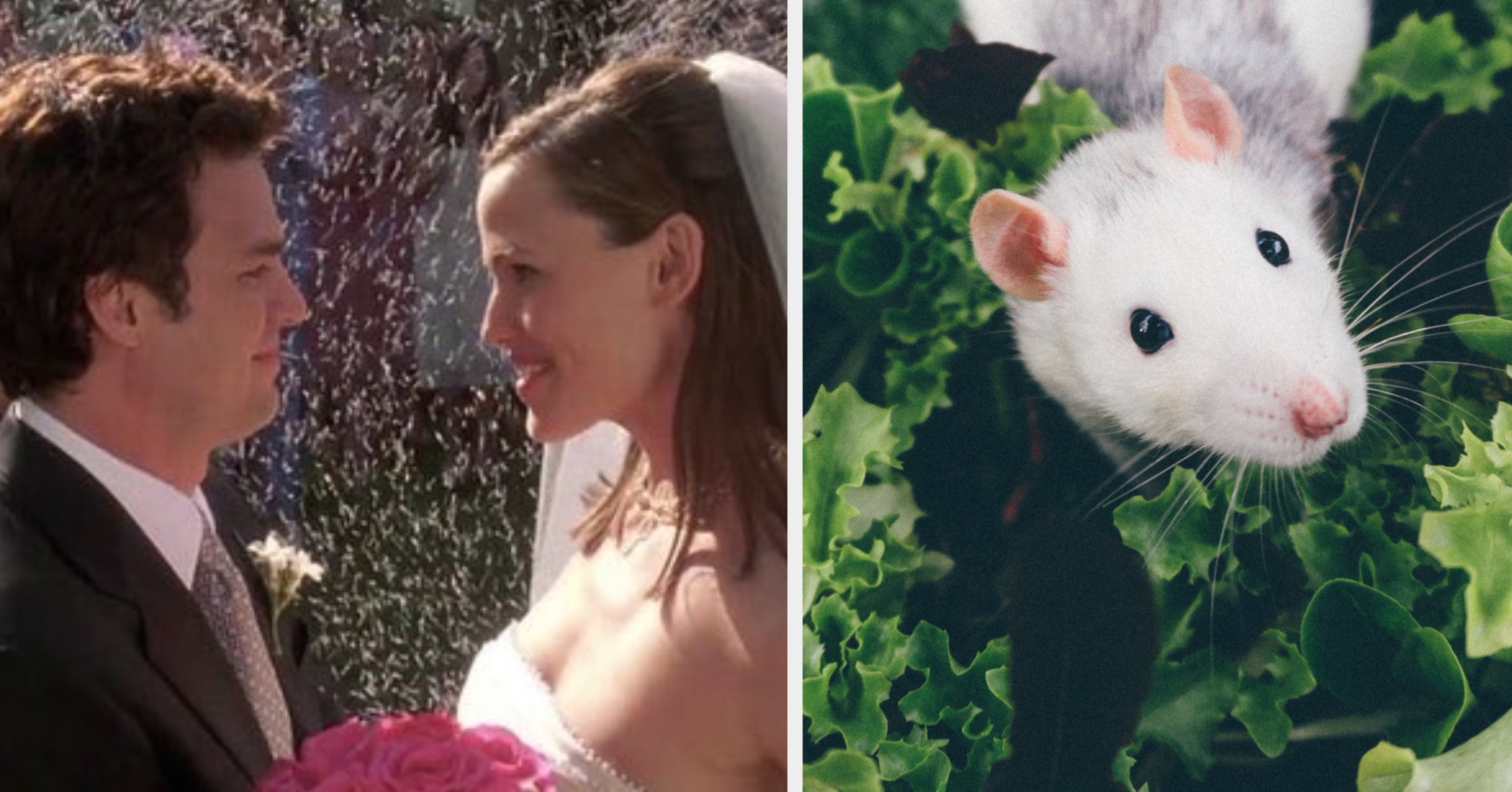 Plan A Big Bougie Over The Top Wedding And I #39 ll Reveal Which Rodent