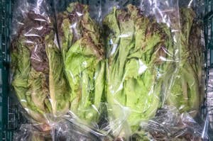 lettuce in plastic bag