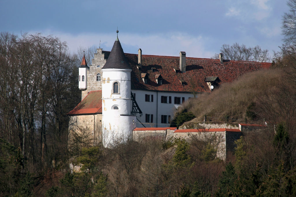 castle peeking out from trees