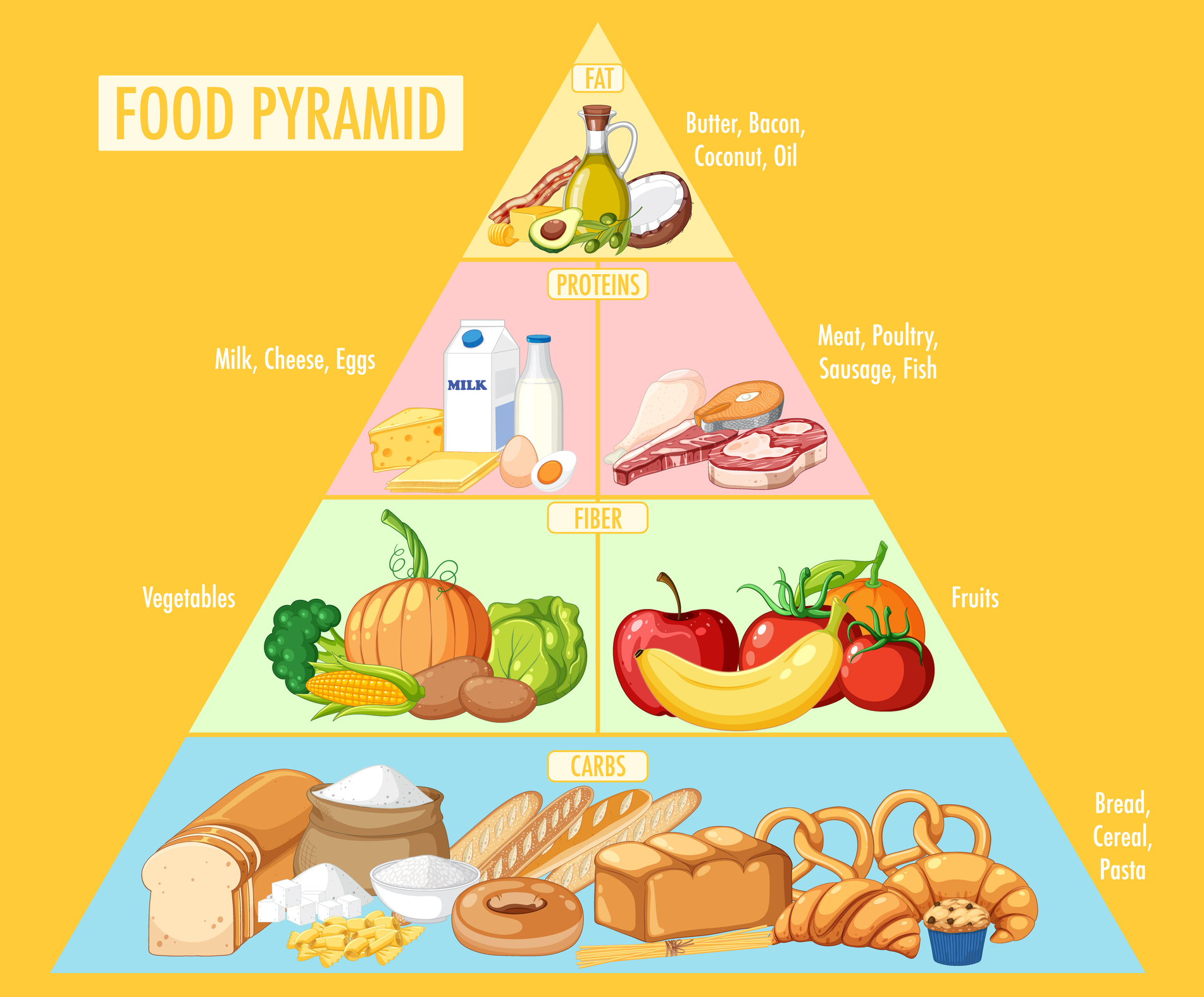 5 групп питания. Пищевая пирамида рисунок. Пирамида еды на английском. Пирамида питания собак. Пирамида питания для кошек , собак.
