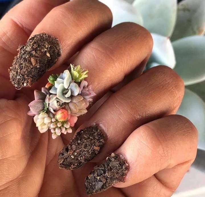 nail art is dirt and succulents