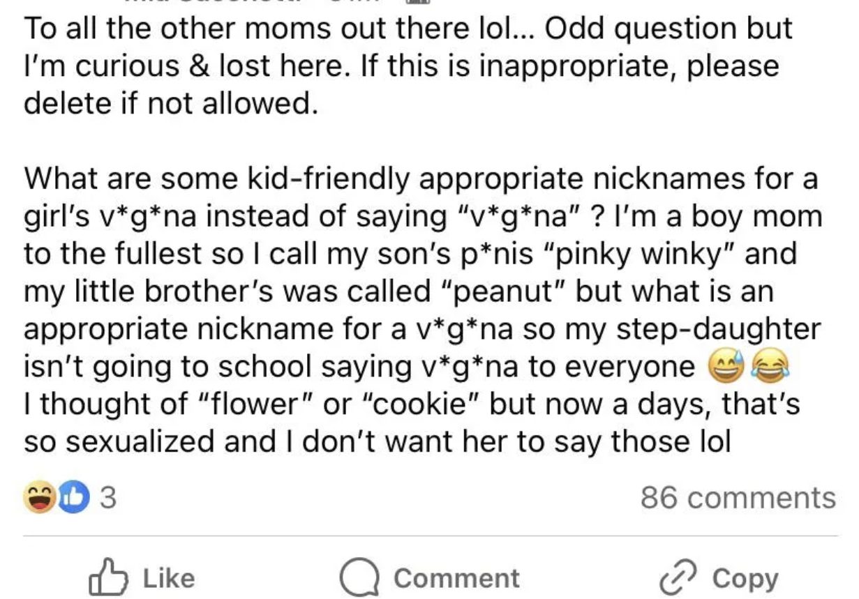 &quot;What are some kid-friendly appropriate nicknames for a girl&#x27;s v*g*na&quot;