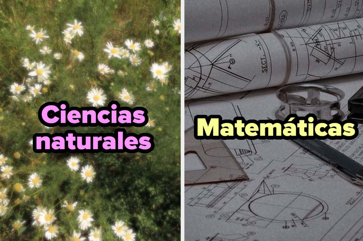 Podrás elegir tu material favorito solo respondiendo este cuestionario de cultura general