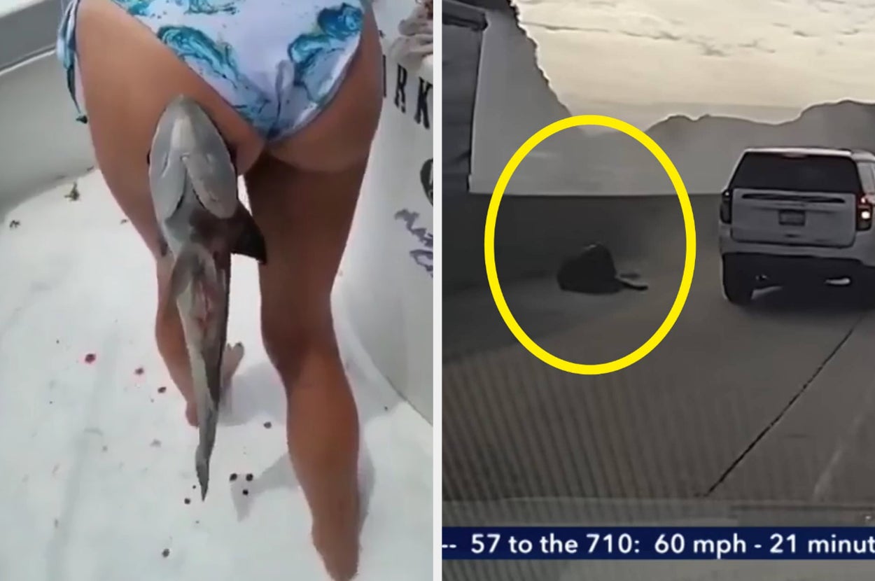 My Innocence Has Been Destroyed After Learning These Terrible, Disturbing, And Creepy Things - buzzfeed.com