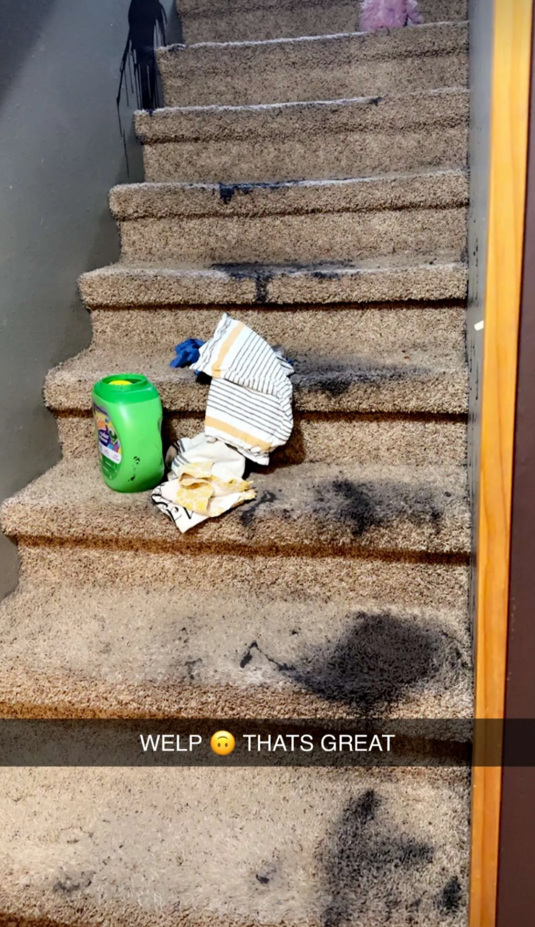 Paint all over a carpeted staircase
