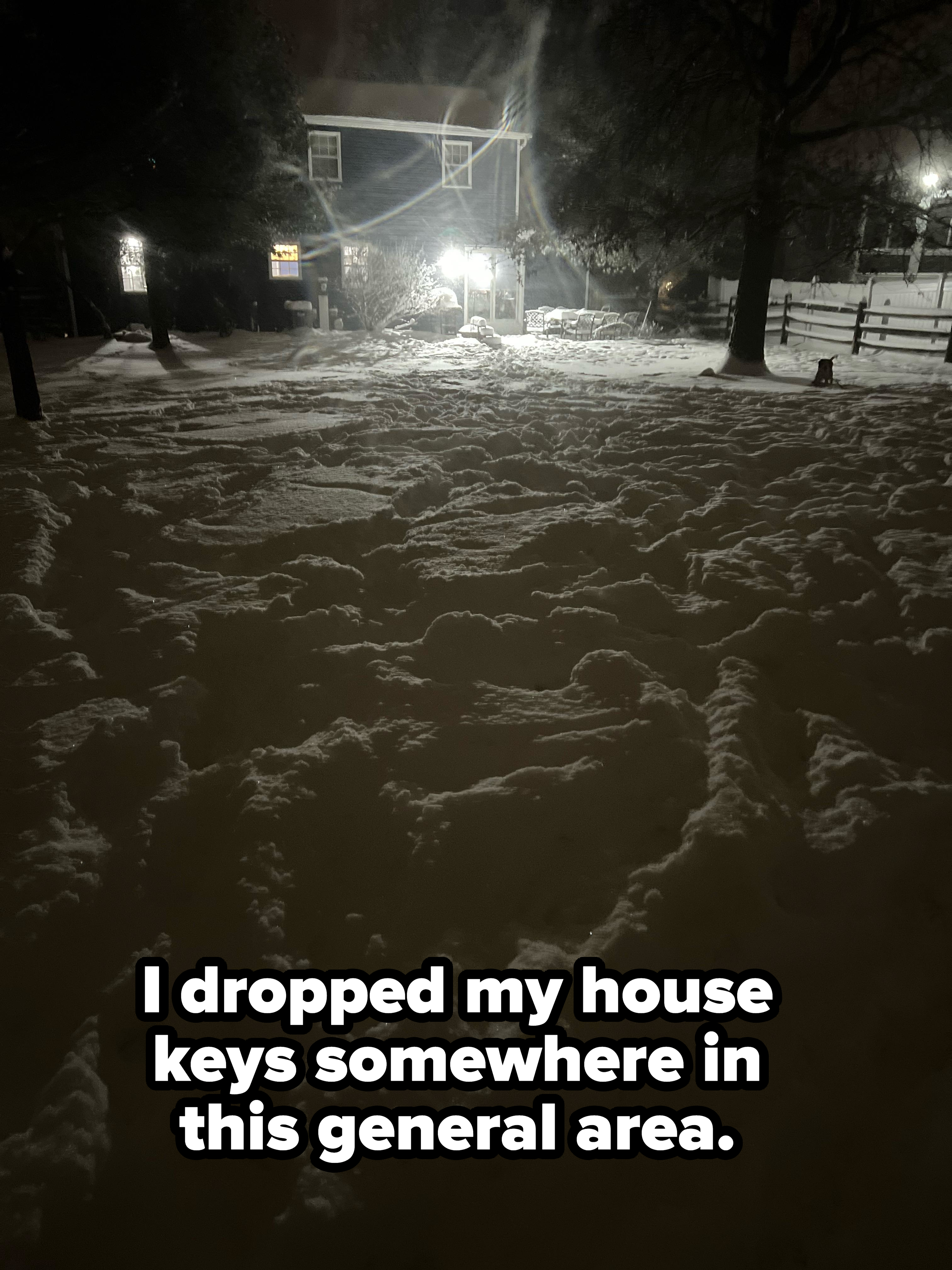 &quot;I dropped my house keys somewhere in this general area,&quot; with picture of deep snow in a large front yard