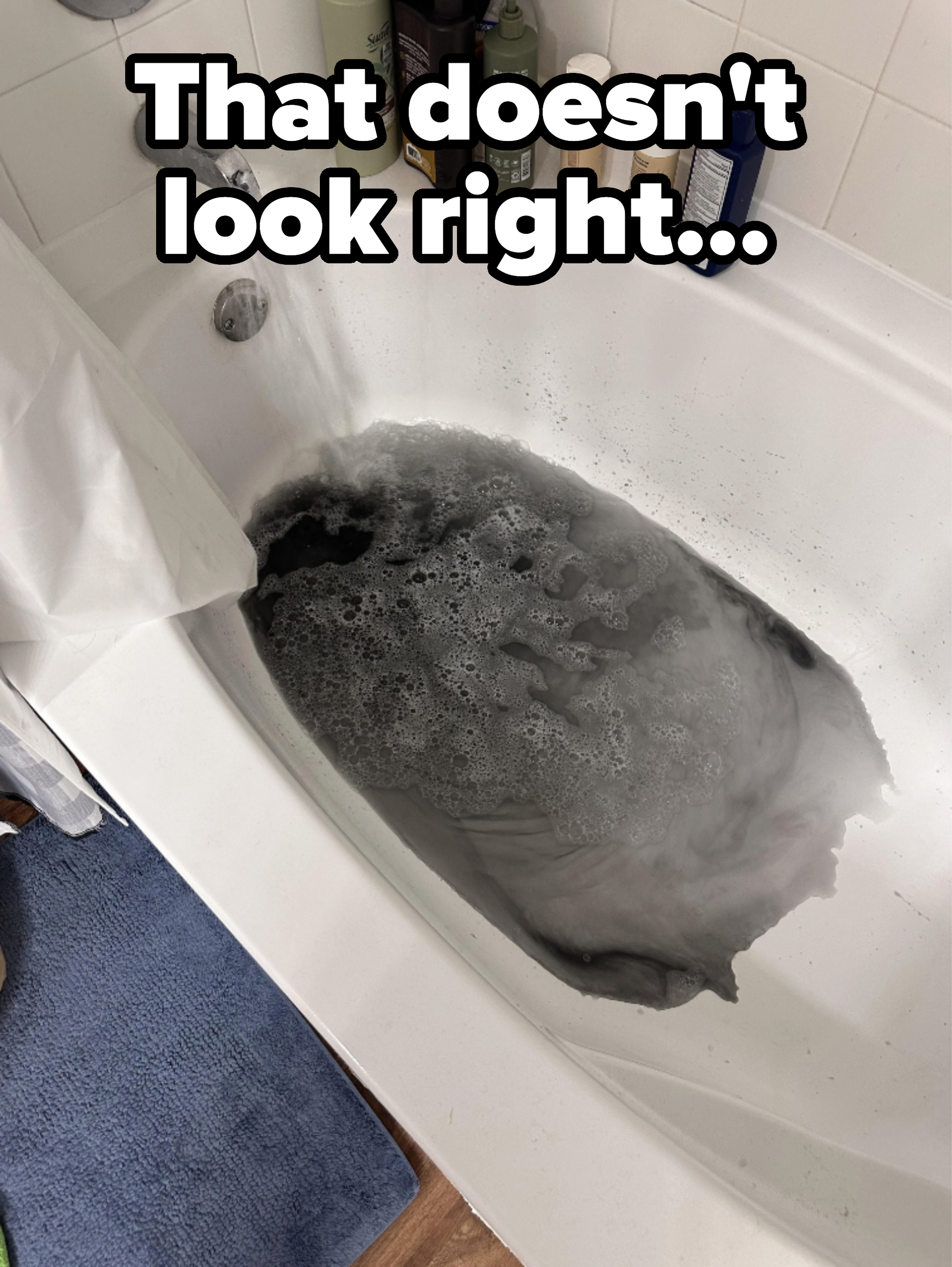 &quot;That doesn&#x27;t look right&quot;: A bathtub with black water coming up from the drain
