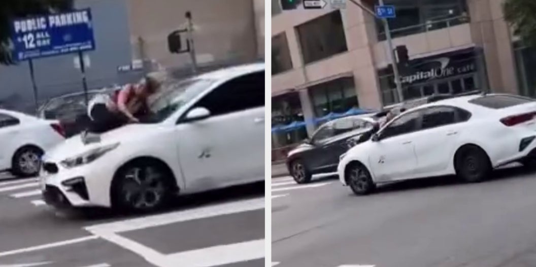 Los Angeles Woman Clings to Speeding Getaway Car After Her French Bulldog Was Stolen - Vimarsana News