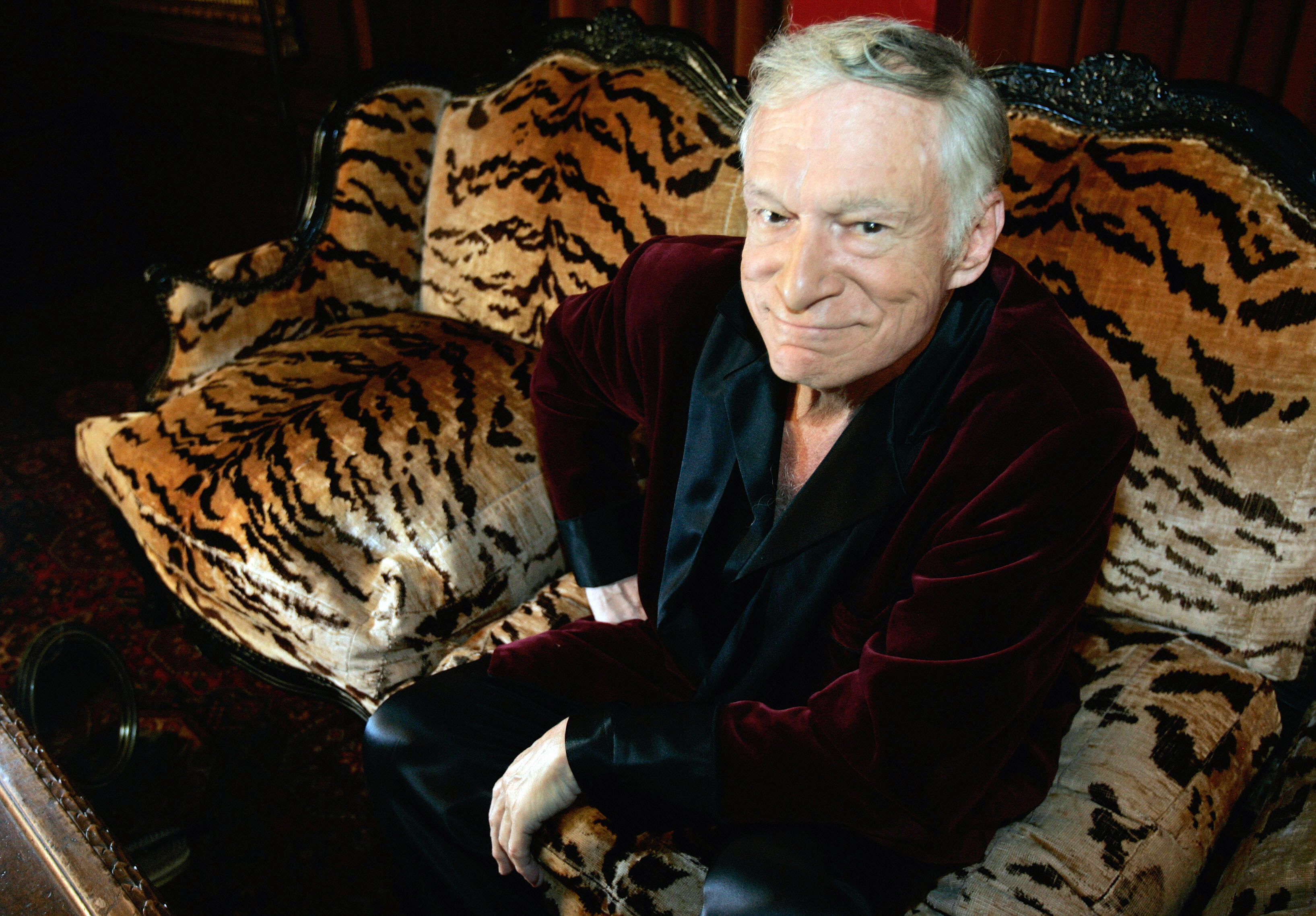 Close-up of Hugh sitting on a tiger-print couch