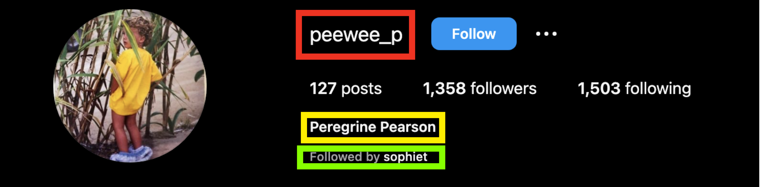 Screenshot of Peregrine Pearson&#x27;s Instagram account