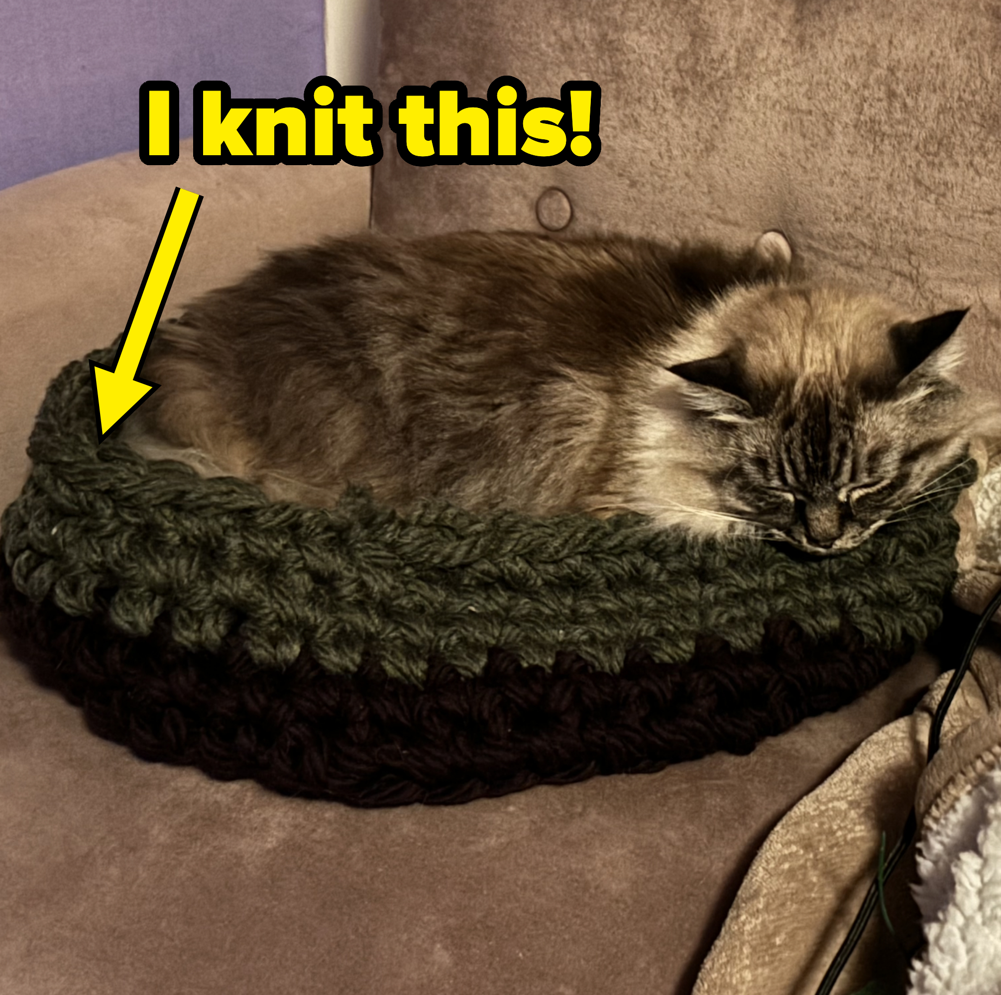 cat in a bed that was knitted by the author