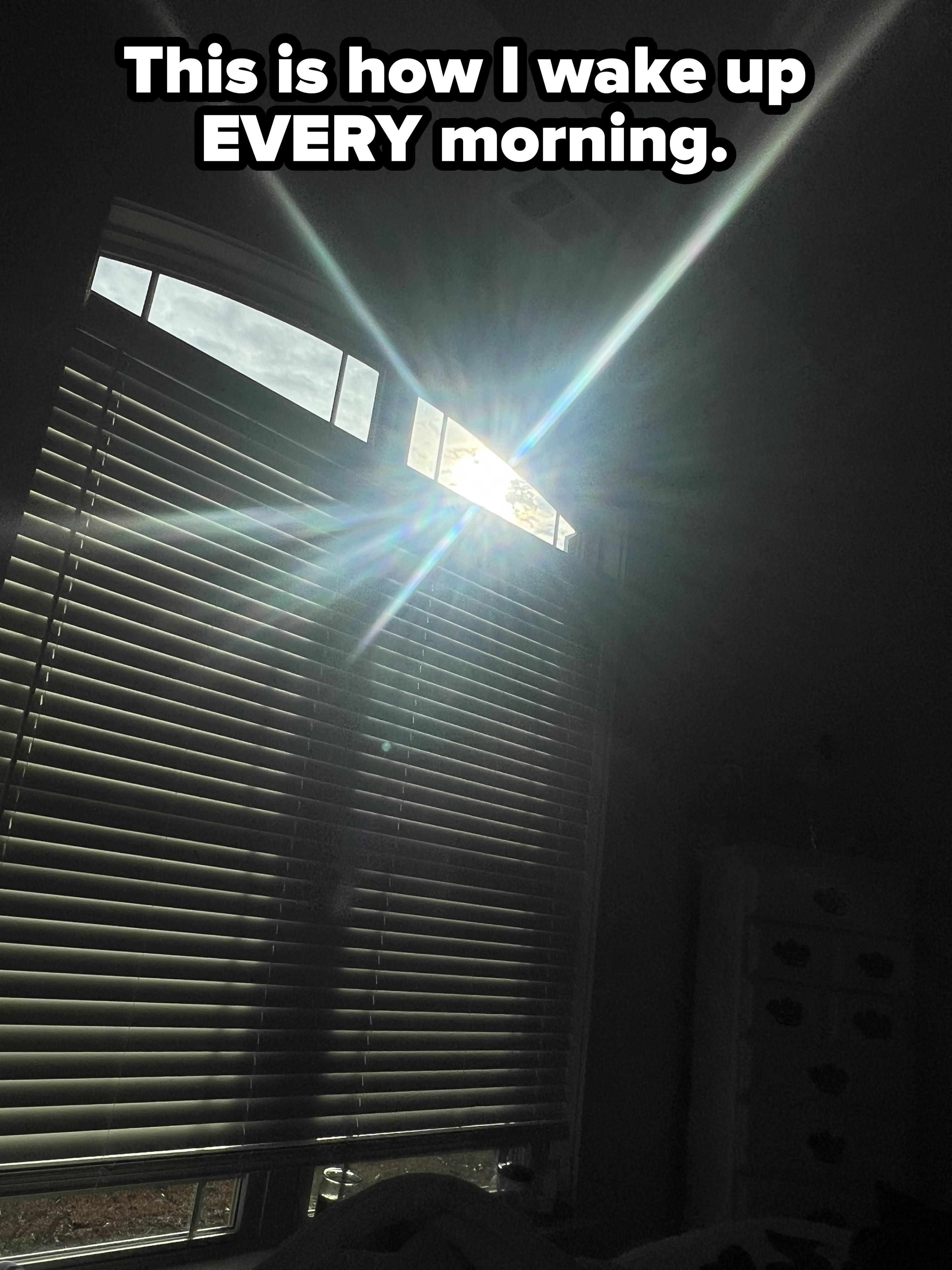 &quot;This is how I wake up EVERY morning&quot;: with sunlight streaming through the top of the window where the blinds don&#x27;t extend