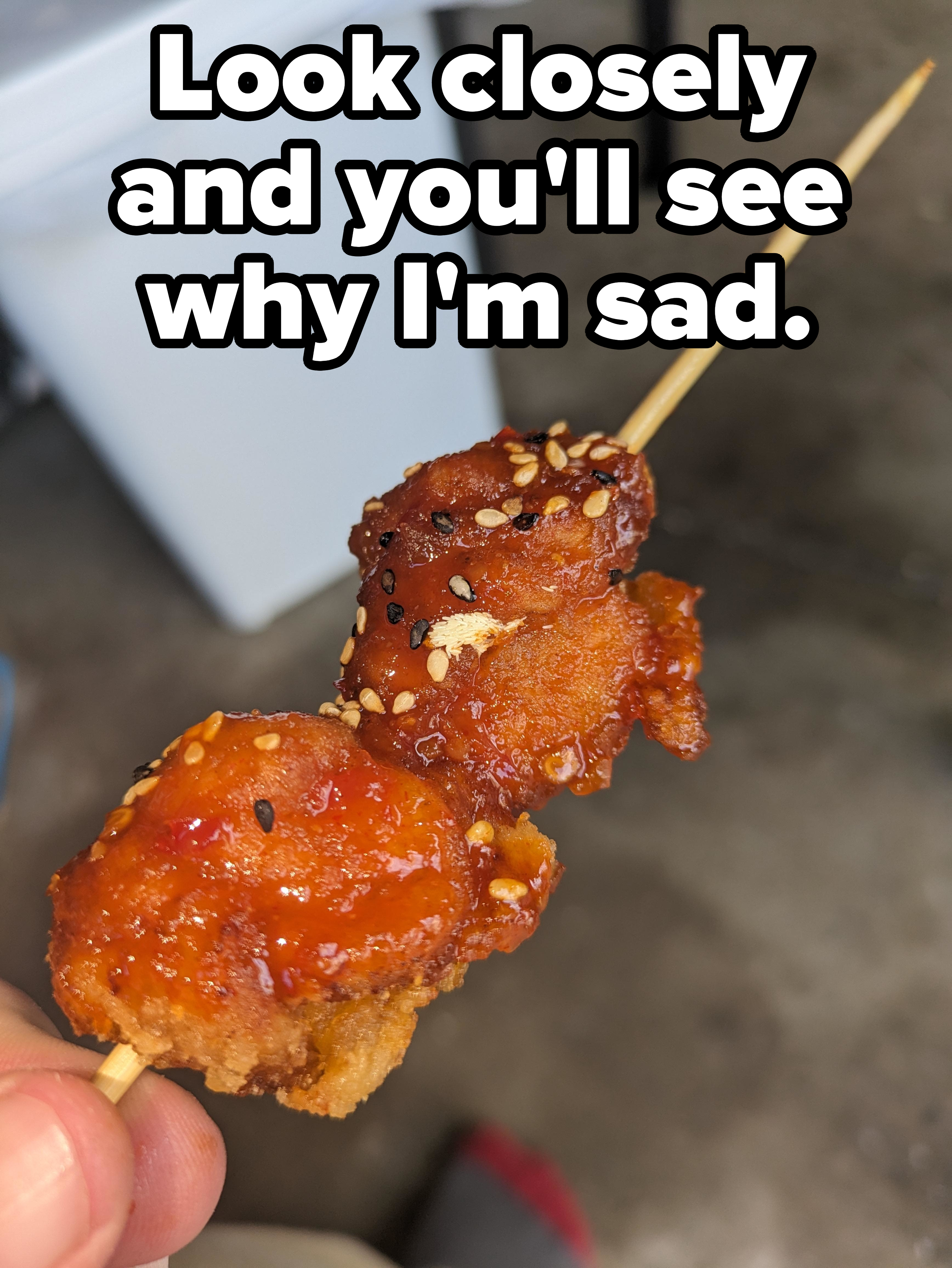 &quot;Look closely and you&#x27;ll see why I&#x27;m sad&quot;: Close-up of a chicken nugget on a skewer with sesame seeds and little insects