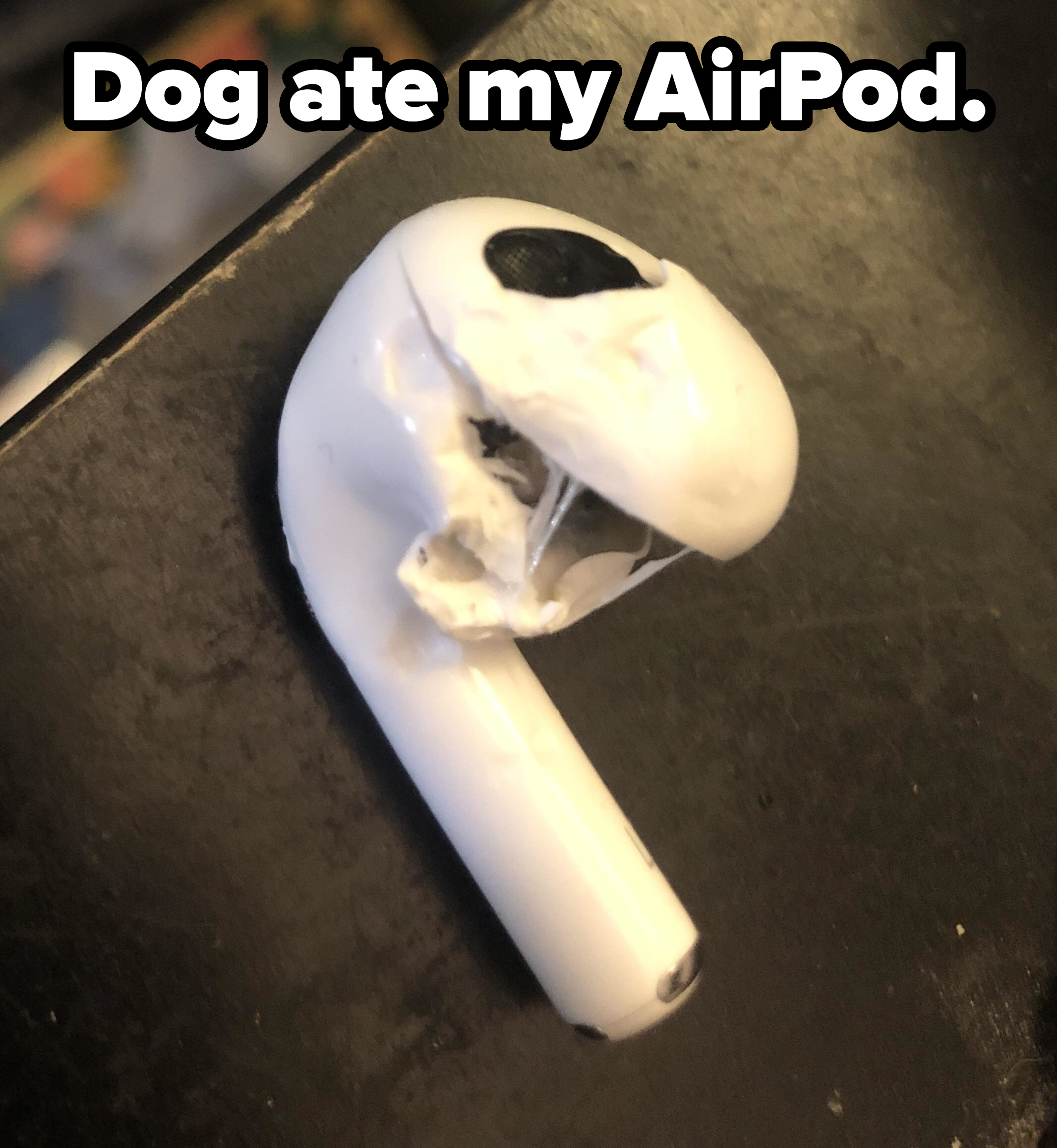 &quot;Dog ate my AirPod,&quot; showing a destroyed AirPod