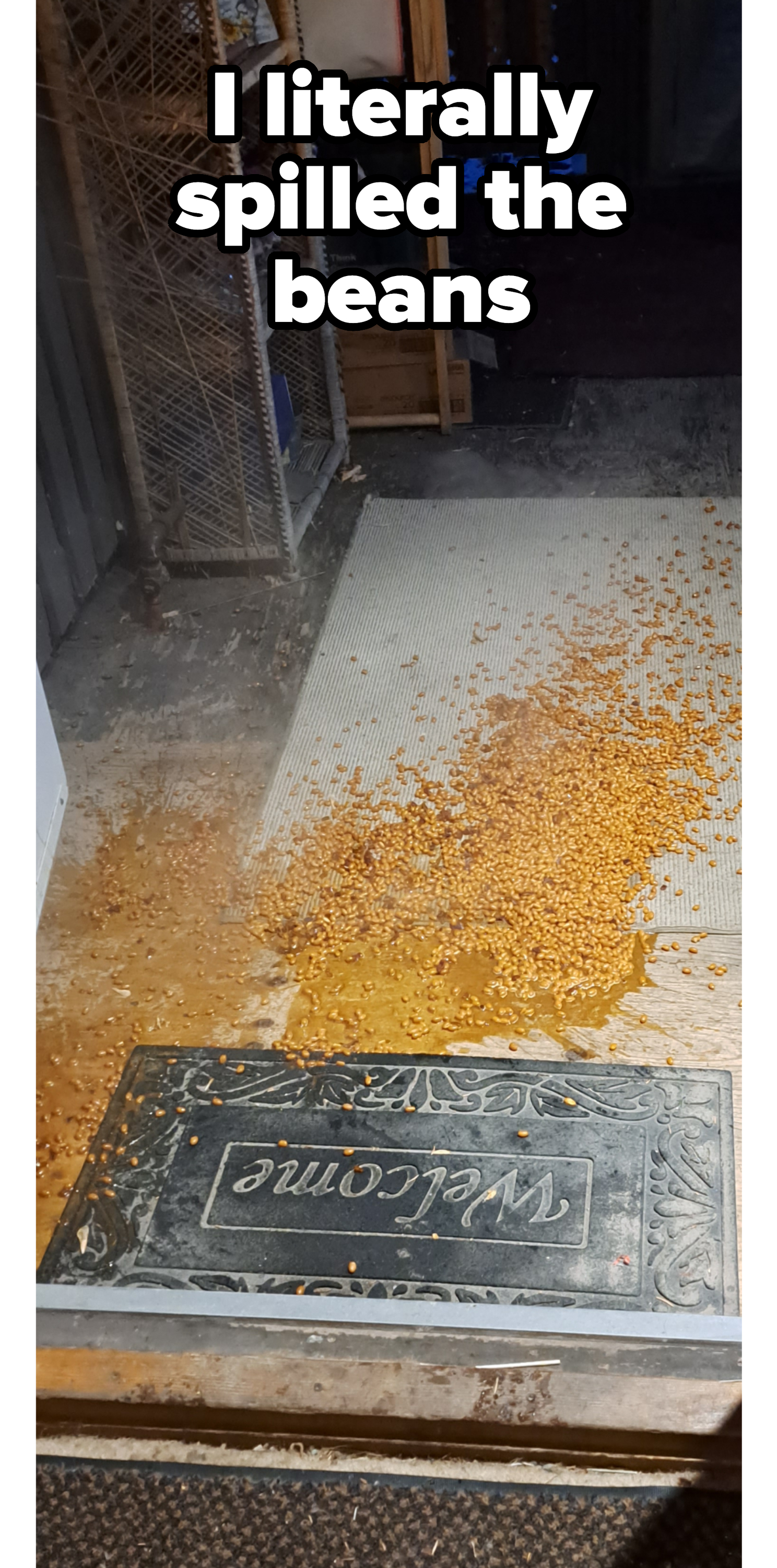 beans spilled on a porch