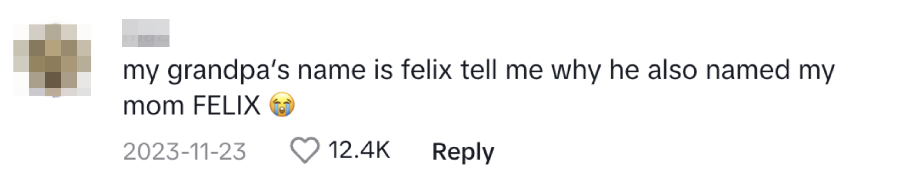 A commenter saying that their grandpa Felix also named their mom Felix
