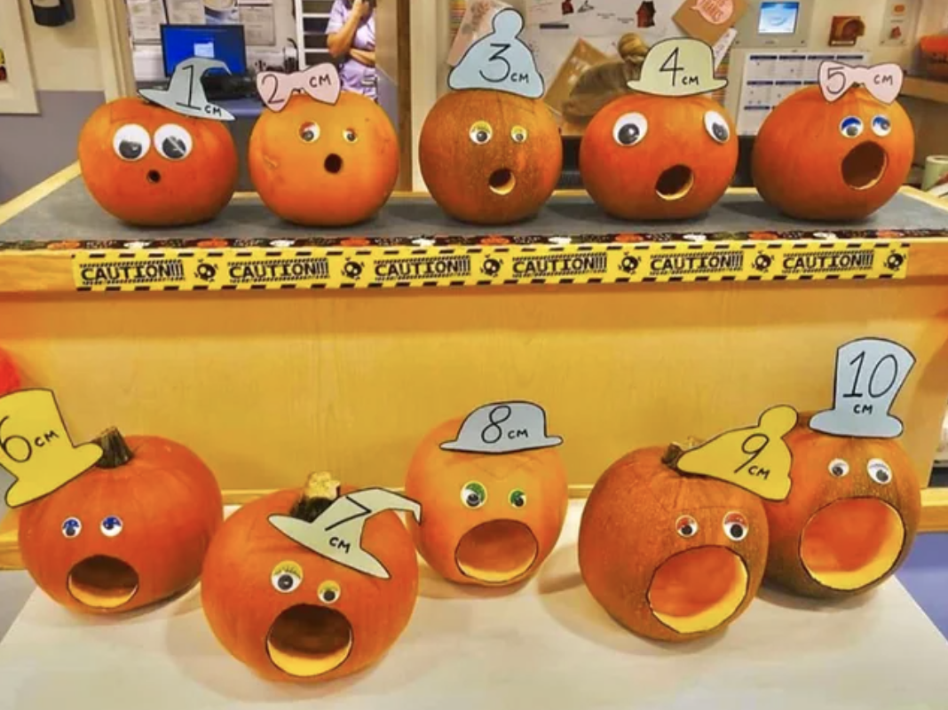 Pumpkins showing mouths open in centimeters