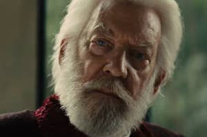 President Snow up close looking stern.