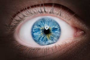 a closeup of a blue eye