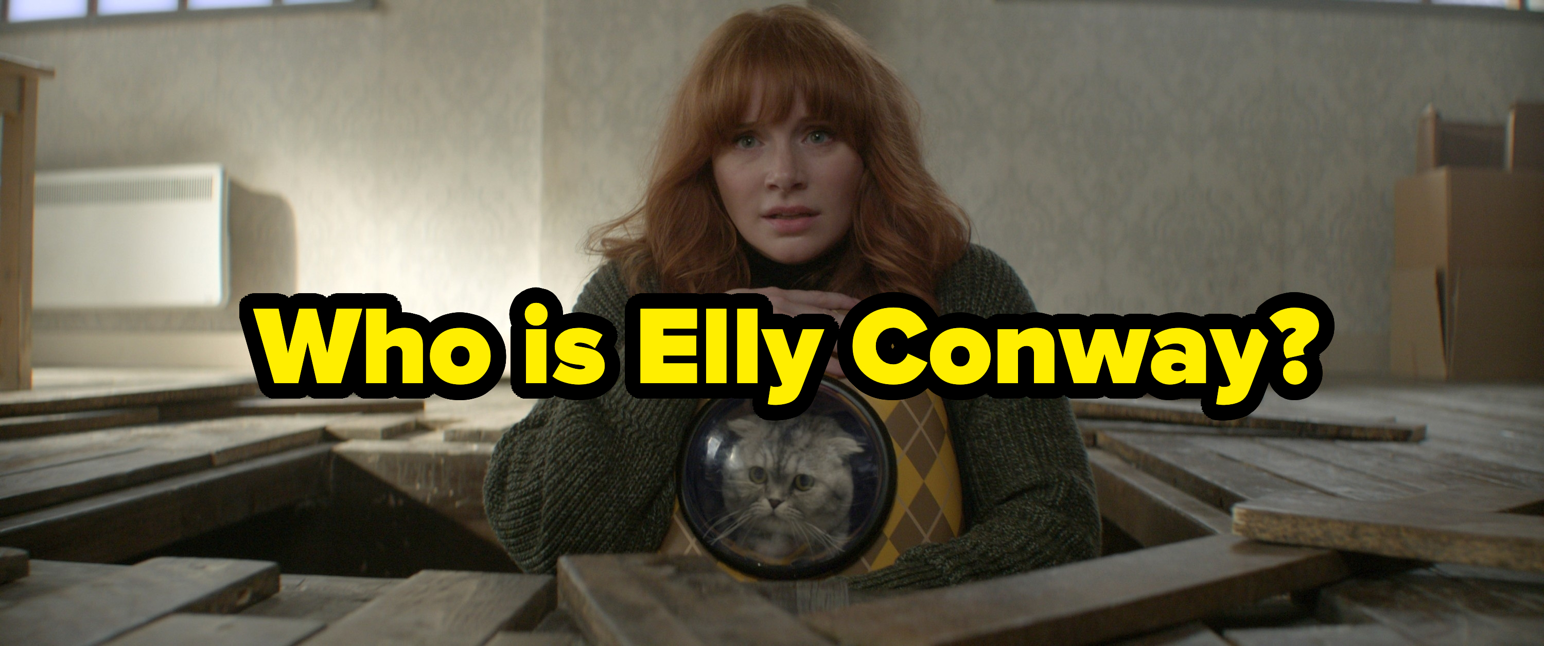 Bryce with caption &quot;Who is Elly Conway?&quot;