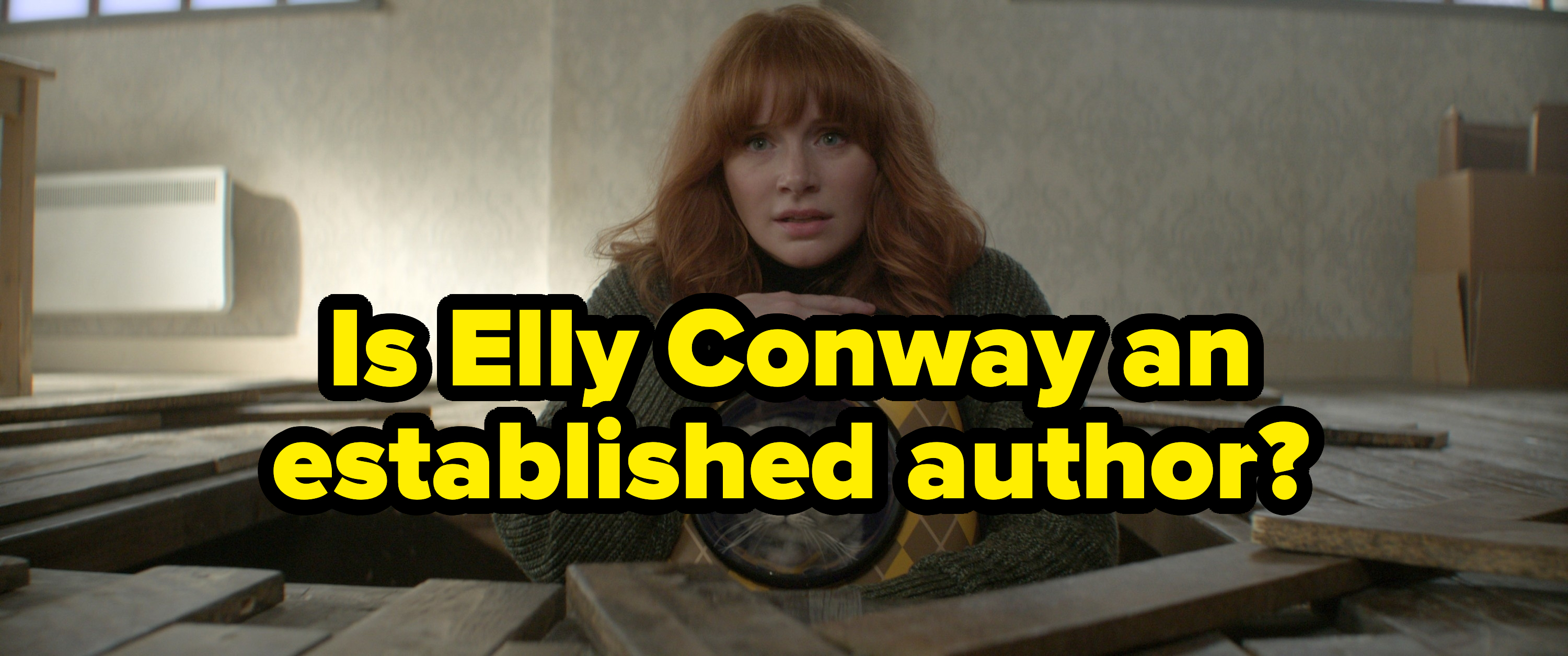 &quot;Is Elly Conway an established author?&quot;