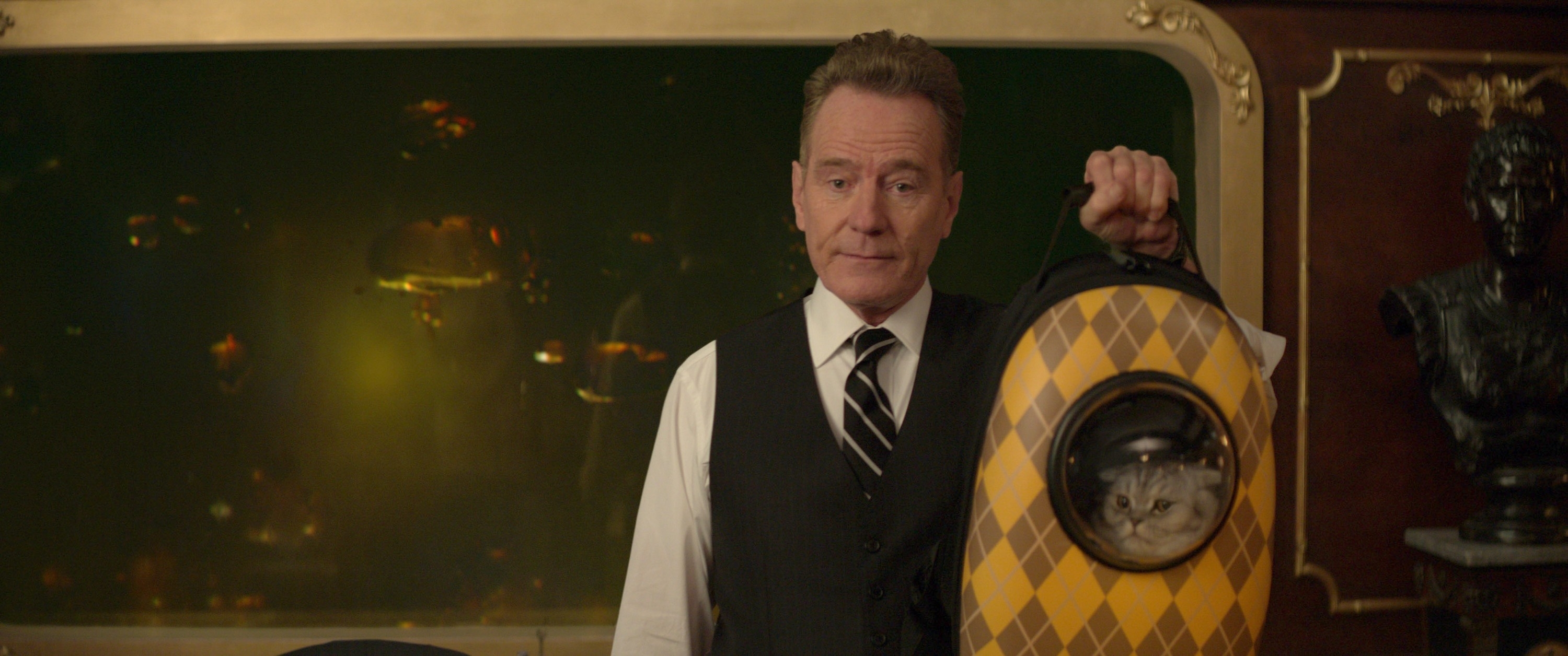 Bryan Cranston holding a backpack with a cat in it