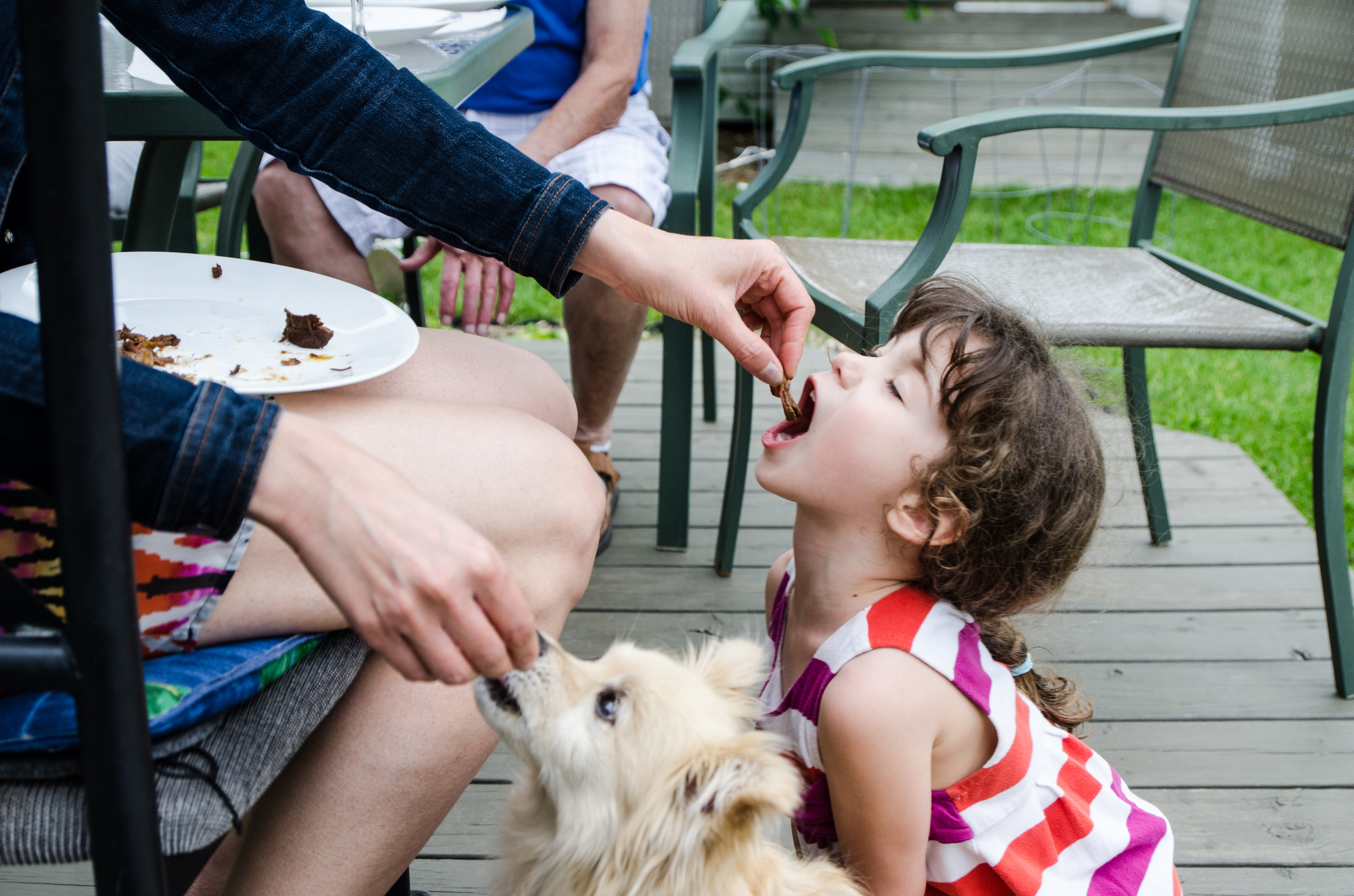 A little girl getting fed alongside her dog