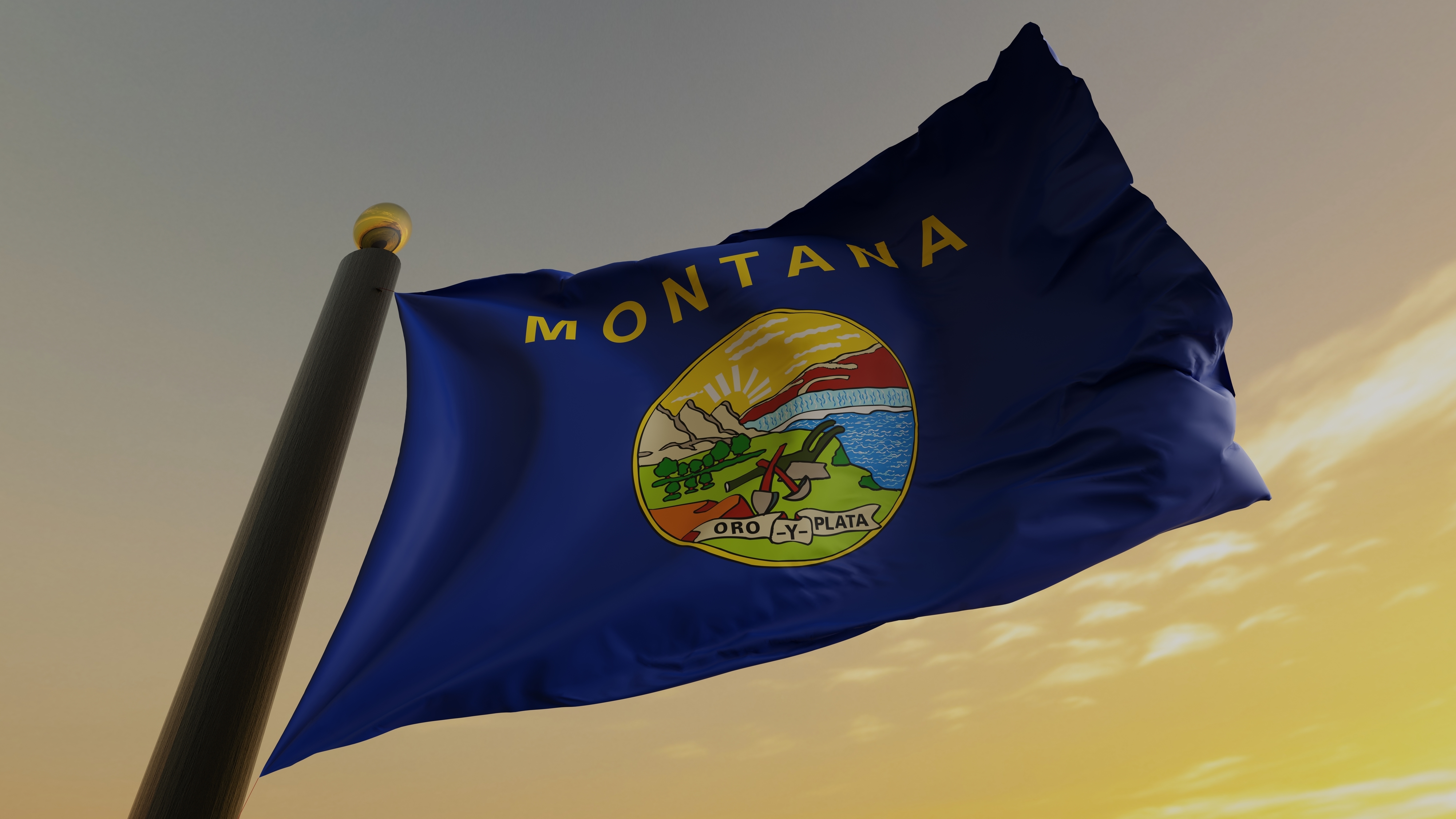 Flag of the US State of Montana