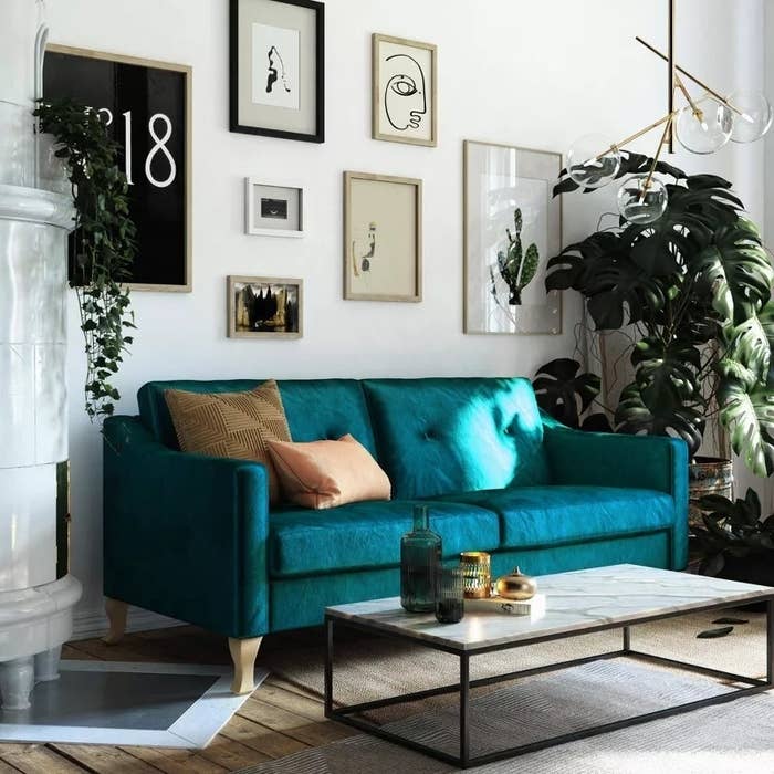 the teal velvet sofa