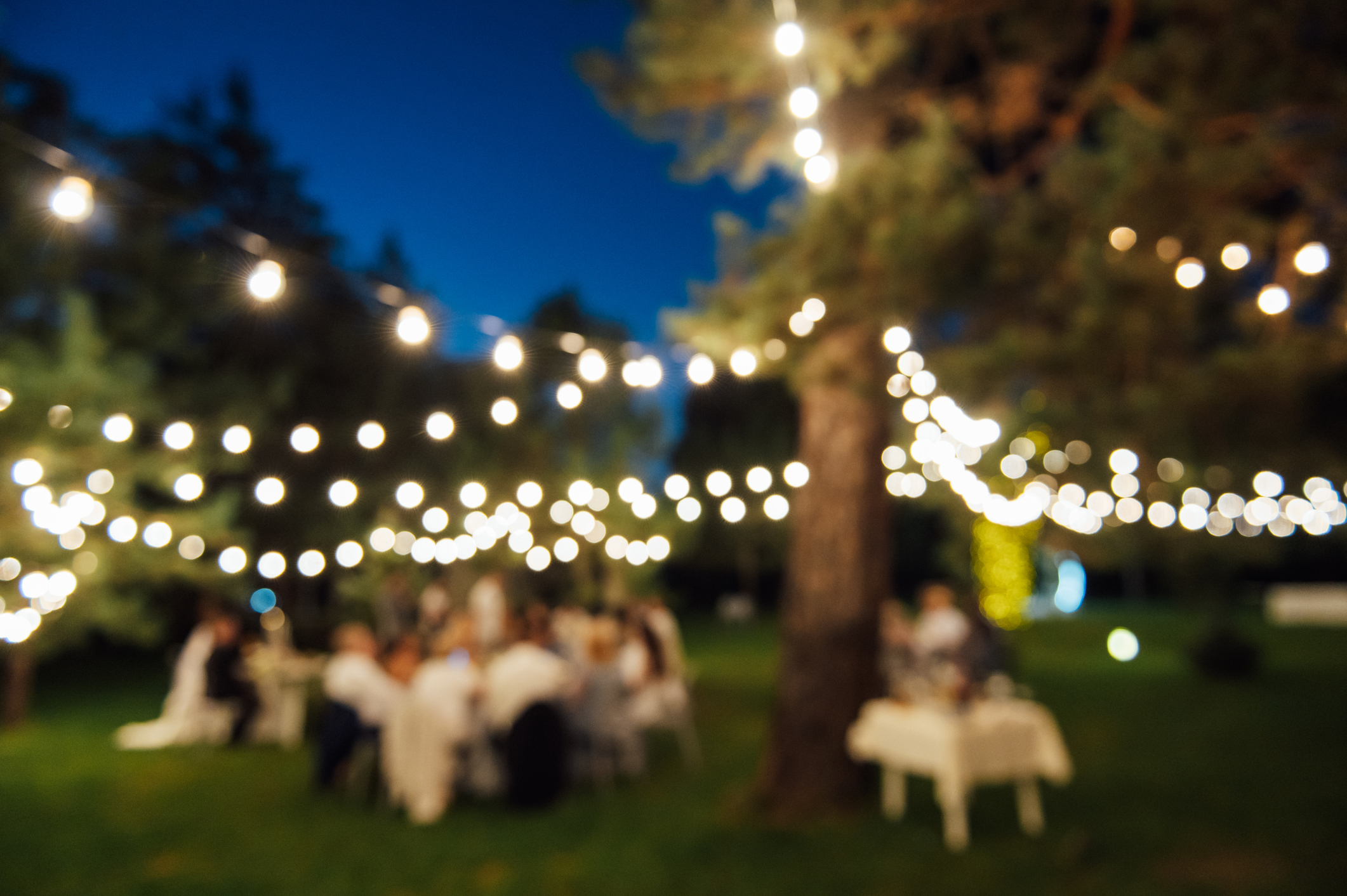 Blurry photo of a backyard wedding