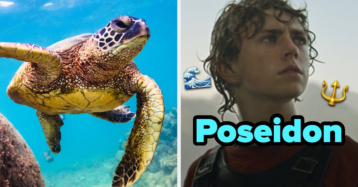 Percy Jackson Quiz Who Is Your Godly Parent?