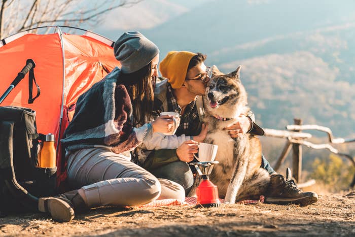 Young couple and their dog camping in the mountains on a beautiful autumn day