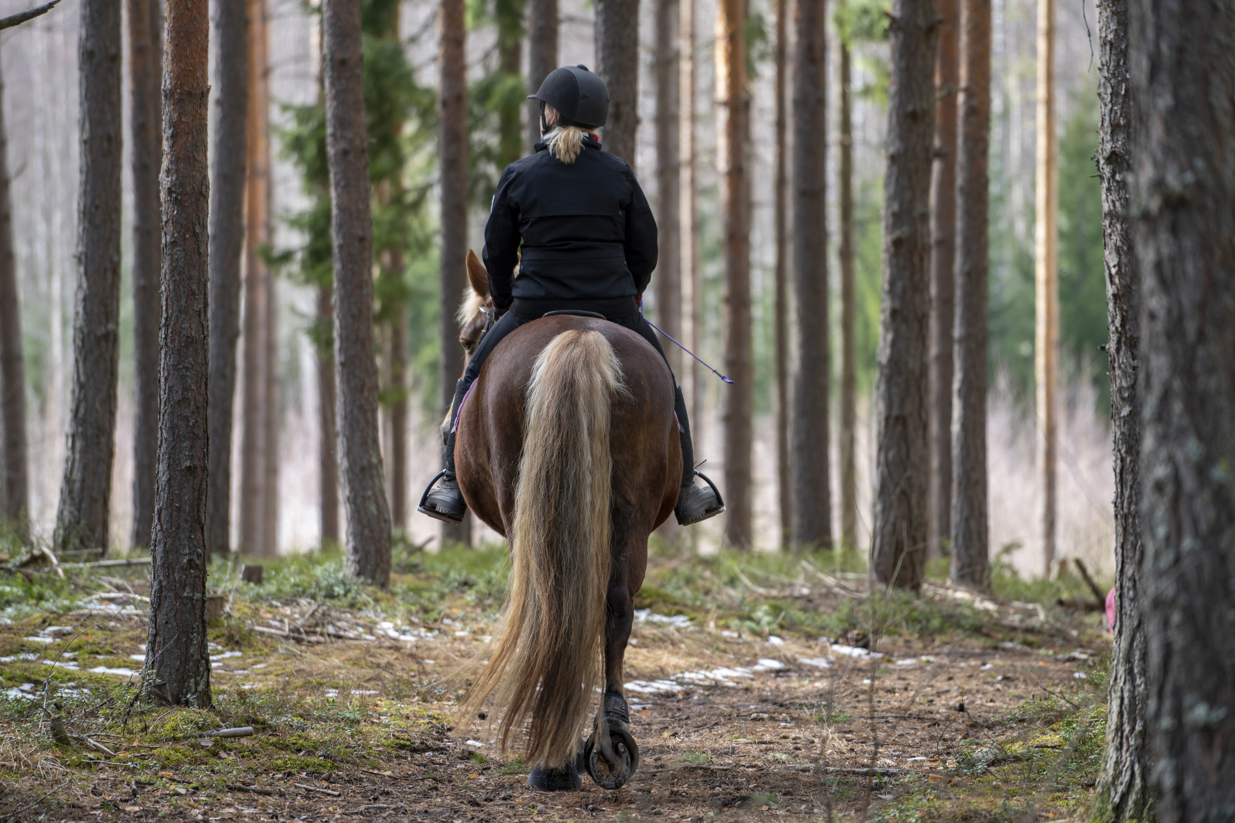 Woman horseback riding in forest trail in winter