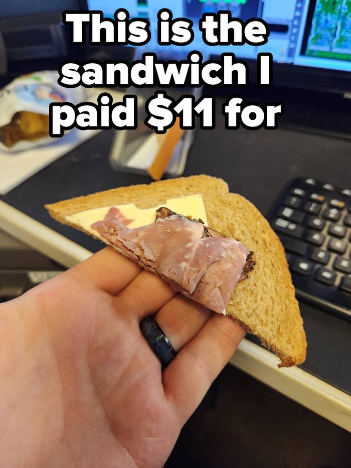 Person holding an $11 sandwich with just a tiny piece of meat and cheese