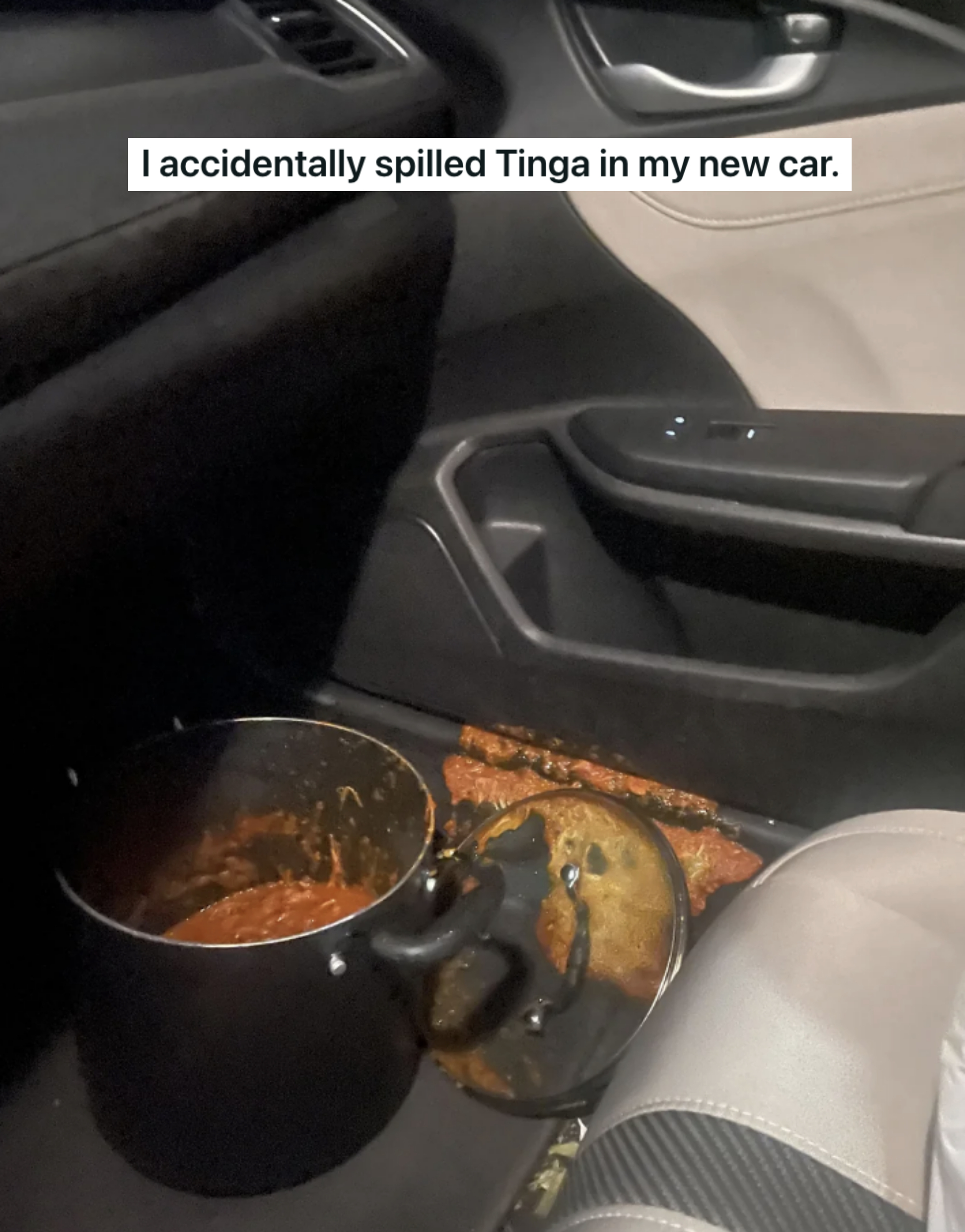&quot;I accidentally spilled Tinga in my new car&quot;